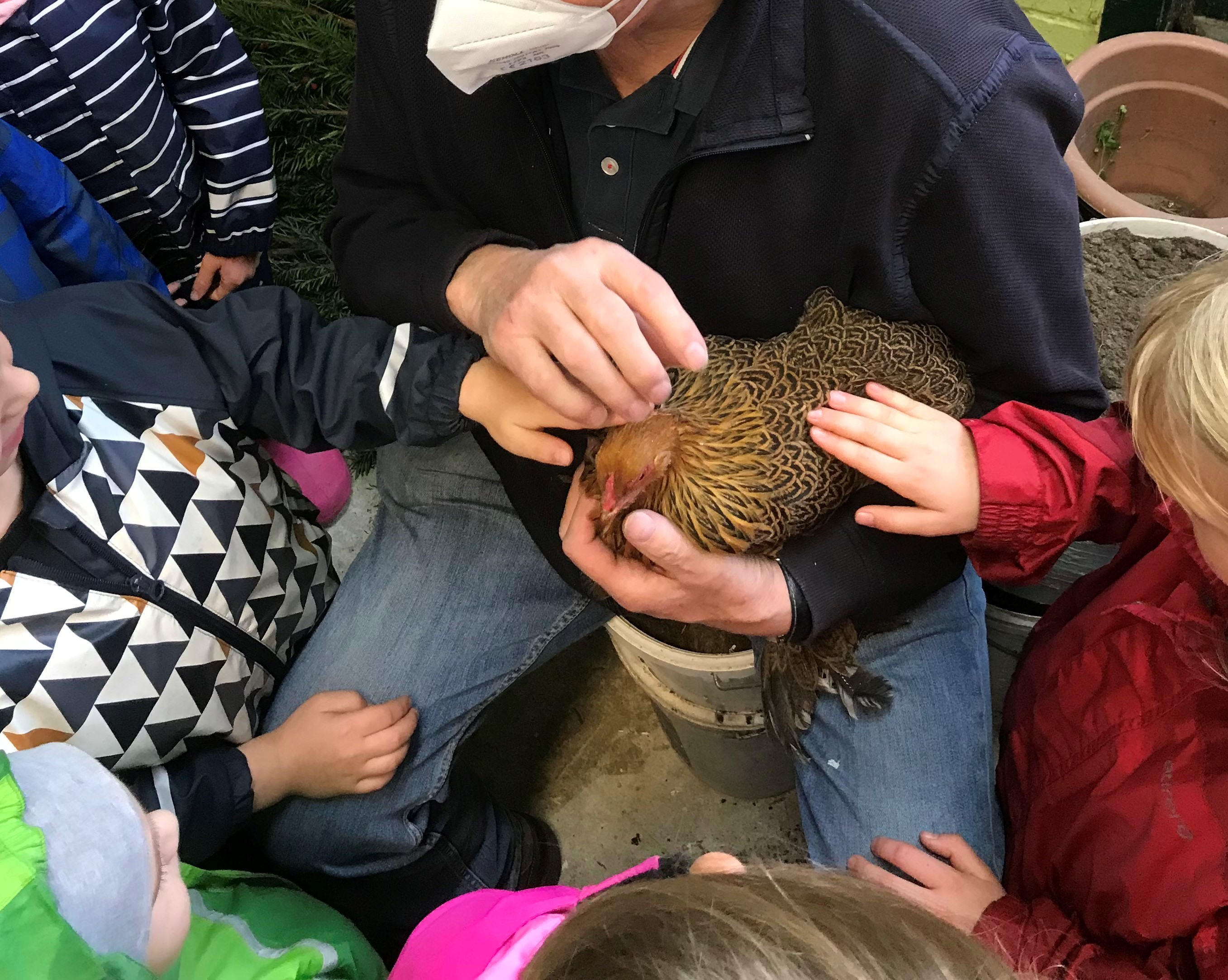 IMG_2902_-_Kopie_(2)